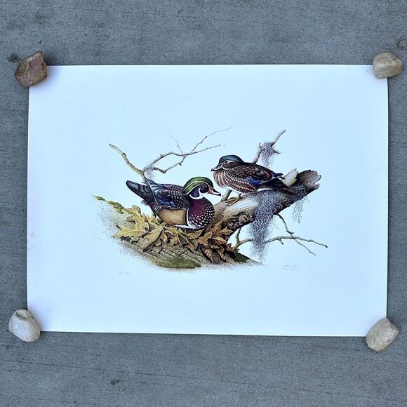 Other - Bob Price Signed Art Print Duck Waterfowl Bird 28 x 21" ED 3000